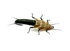 3 Stück Salmon Fly (60mm) - realistische Lachsfliegen - Nymphen - Tungsten