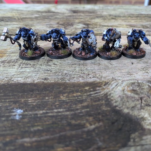 Space wolf assault terminators - wolf,