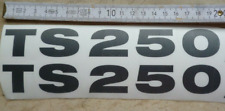 TS250,MZ,Krad,Motorsport,Aufkl