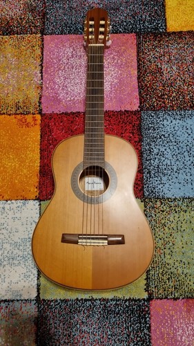 Gitarre