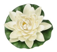 Seerose für Schwimmschale