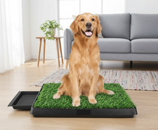 Hundetoilette Hundeklo