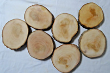 Baumscheiben Erle trockene glatt geschleift Holzscheiben Deko Bastelholz