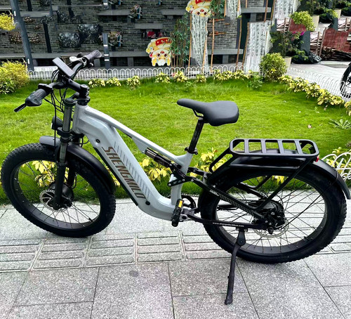 Herren elektrofahrrad zoll - elektrofahrrad, 26