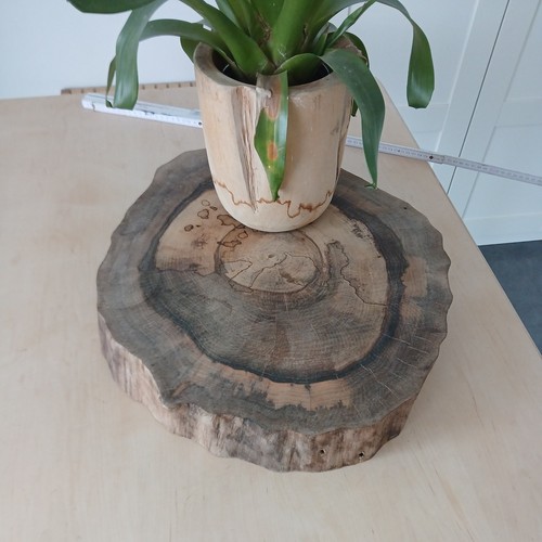 Gestockte nussbaum baumscheibe - nussbaum,
