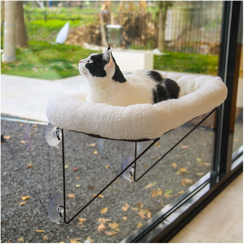 Katzenfensterliege