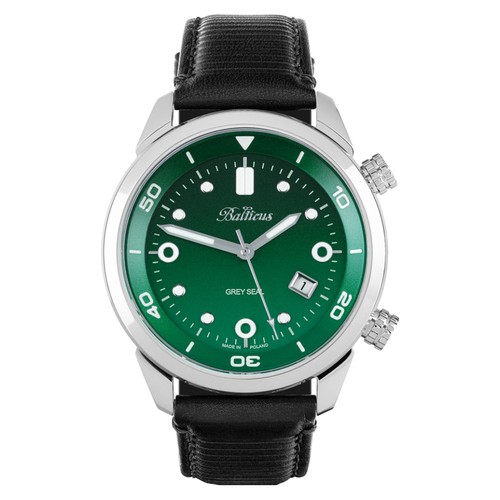 Balticus grey seal - balticus,