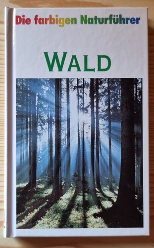 Steinbach wald die farbigen - wald.,