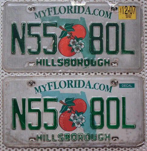 Florida nummernschilder paar - nummernschilder,