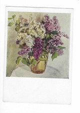 M226 "AK" Bild  Strauß Flieder in Vase, keine AK-Einteilung  ungel. ca. 1970