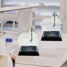 Blatt-Elektroskop-Testset, Labor-Demonstrations-Elektroskop-Physik-Gadgets