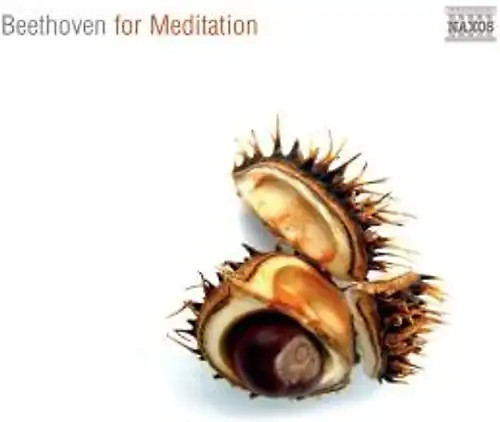 Various beethoven for - -,