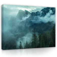 WALD NEBEL NATUR Leinwandbild
