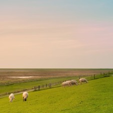 Urlaub Angebot Nordsee | 3* Hotel Wilhelmshaven | Super Deal Kurzreise für 2 