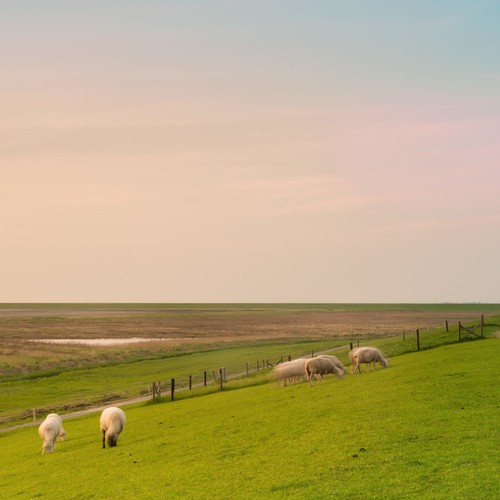 Urlaub angebot nordsee - urlaub, |