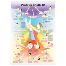 Anatomische Lehrtafel "Pilates Basic 10", LxB 100x70 cm