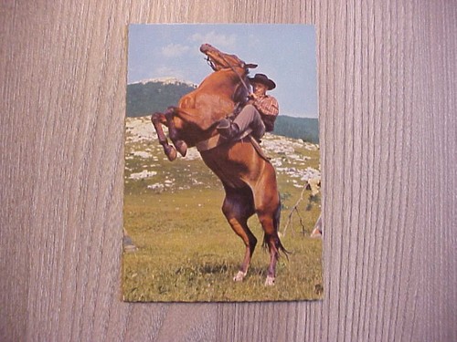 Winnetou karl may - -,