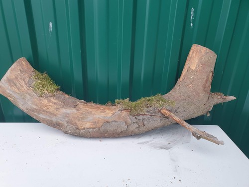 Deko baumstamm holz klotz - baumstamm,