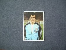 Bergmann WM 1978 78 Argentina