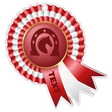 Pferdemedaille  Pferdeschleifen Medaille Turnierschleifen Reiten Pferdesport