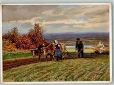 10735517 - November F.A