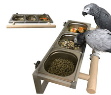 Papageien Freisitz Vögel