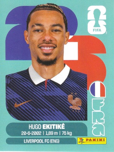 Hugo ekitiké stürmer - hugo,