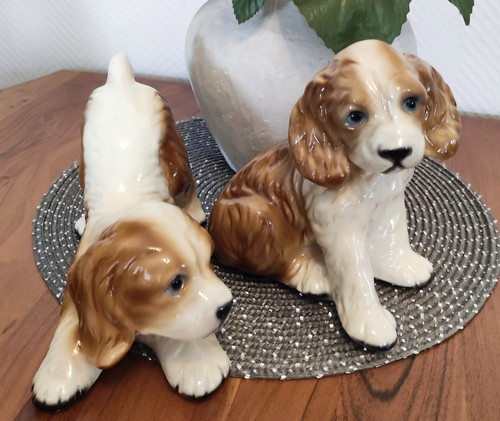 Cocker spaniel welpen - 2,