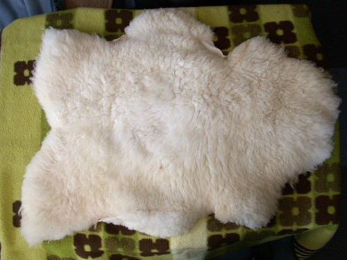 Lammfell schaffell schafwolle - lammfell,
