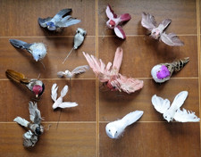 Vögel Vogel Deko Frühling