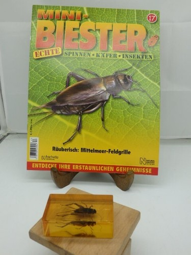Mini biester heft - biester,