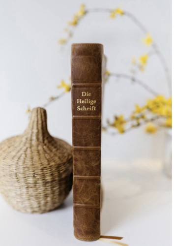 Csv elberfelder bibel - csv,