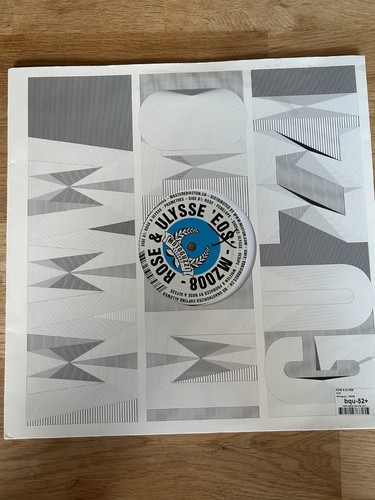 Vinyl electro house - vinyl,