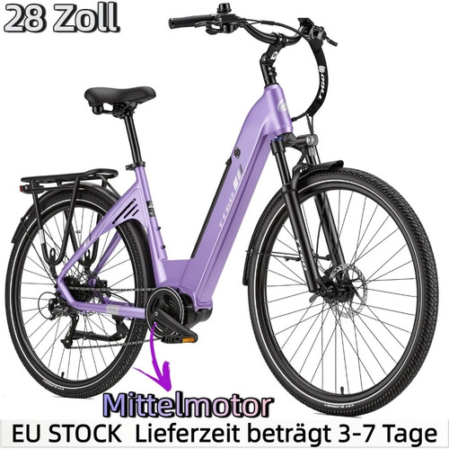 Ttgo elektrofahrrad 250w - elektrofahrrad,