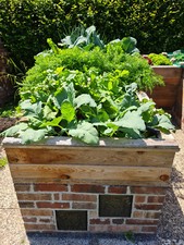 Hochbeetdünger - Naturdünger