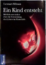 Ein Kind entsteht