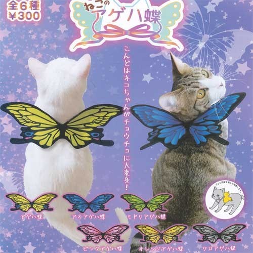 Katze schwalbenschwanz - katze,