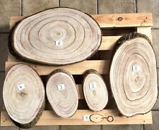 Holz Scheibe Edel Holz