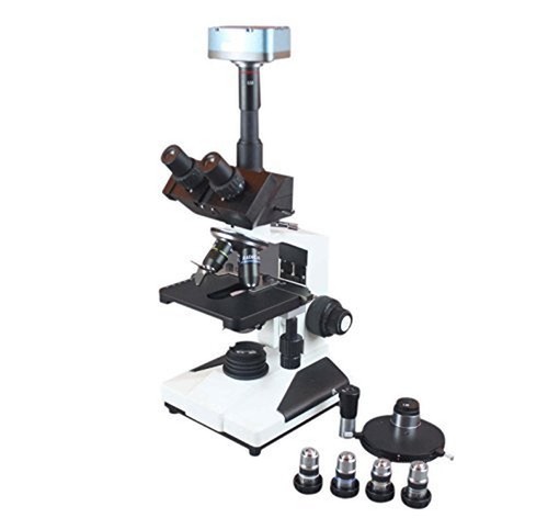 Radical 2500x led - radical,