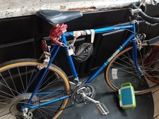 Free Spirit Dynasty Vintage