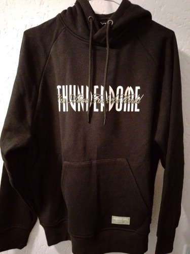 Thunderdome fts hoodie - fts,