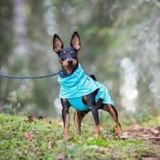 Rukka pets Hunderegenmantel