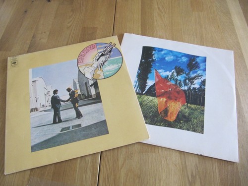 Pink floyd wish you - pink,