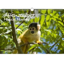 Affenzauber DIN A3 Kalender - Immerwährender Kalender  Affen und Affenbabys - Se
