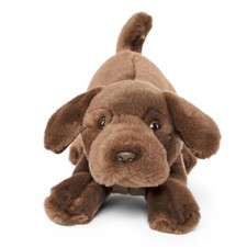 Chocolate labrador welpe - chocolate,