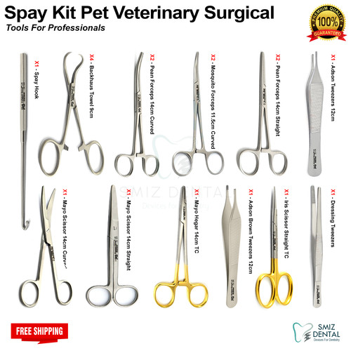 Veterinär kastration - veterinär,