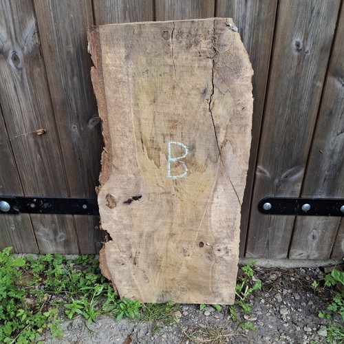 Eichenholz waney live edge - live,