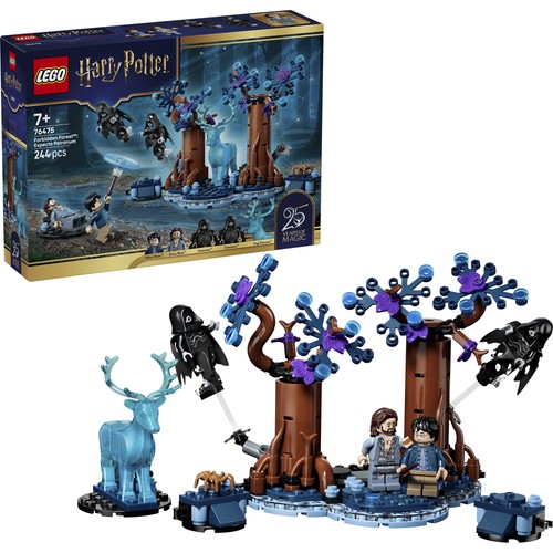 Lego 76475 harry - 76475, potter