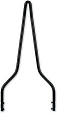 Cycle Vision Sissy Bar Old