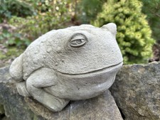 Stein Stierfrosch Garten